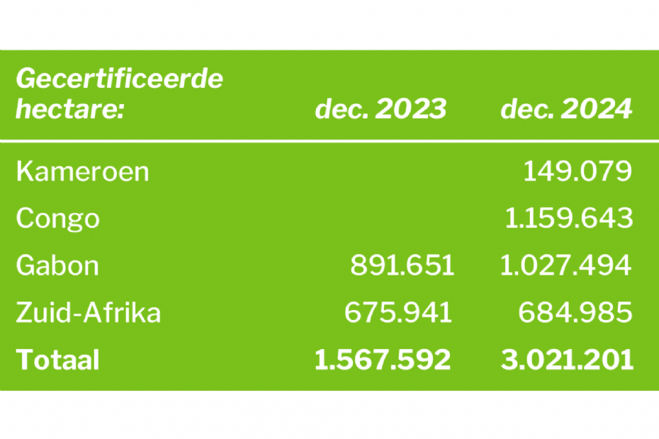 PEFC-certified forest in Africa 2024 PEFC-certified forest in Africa 2024