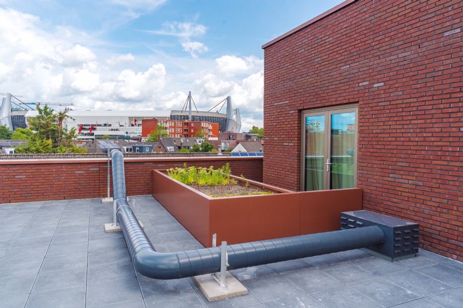 the roof of the lodewijk provides space for water retention and greenery.