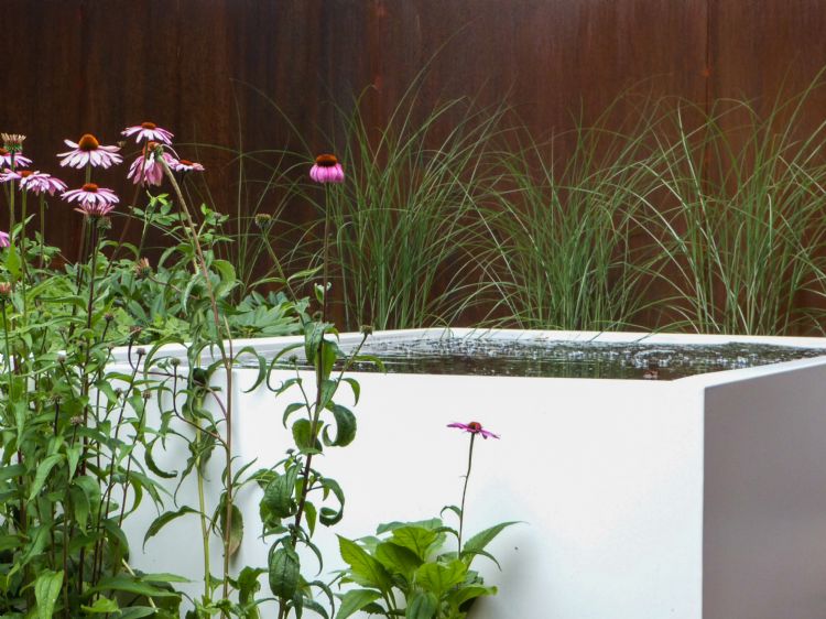 water-feature water-feature