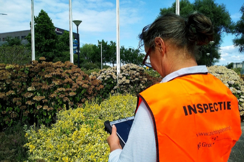 A DG Groep employee inspects public green space A DG Groep employee inspects public green space