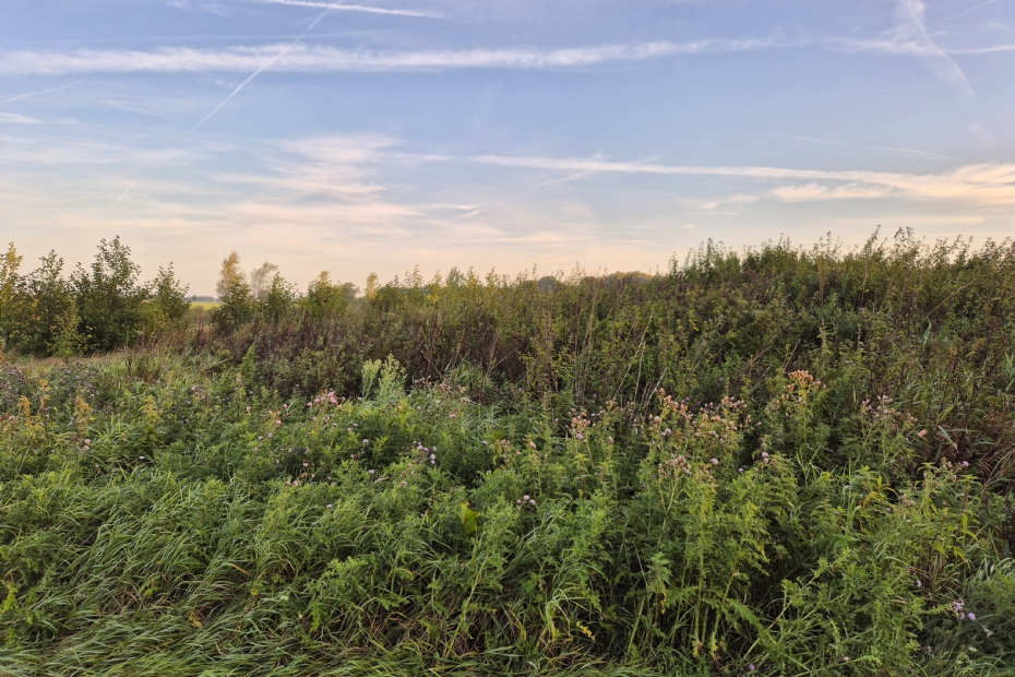 The roughness of phase 1 is clearly visible here The roughness of phase 1 is clearly visible here