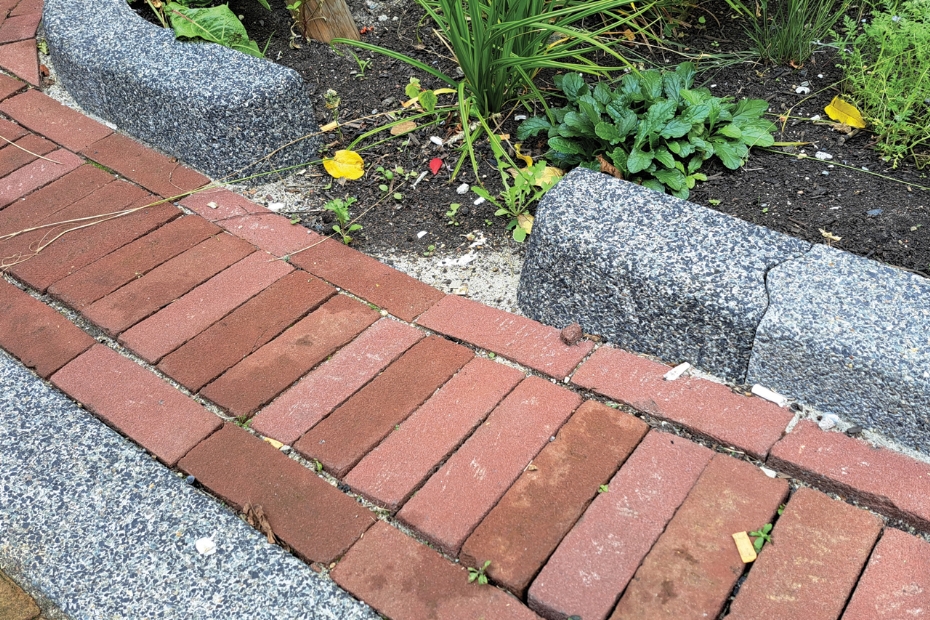 A drainage kerb (water-regulating kerb allowing outflow to greenery) in the Frans Halsbuurt