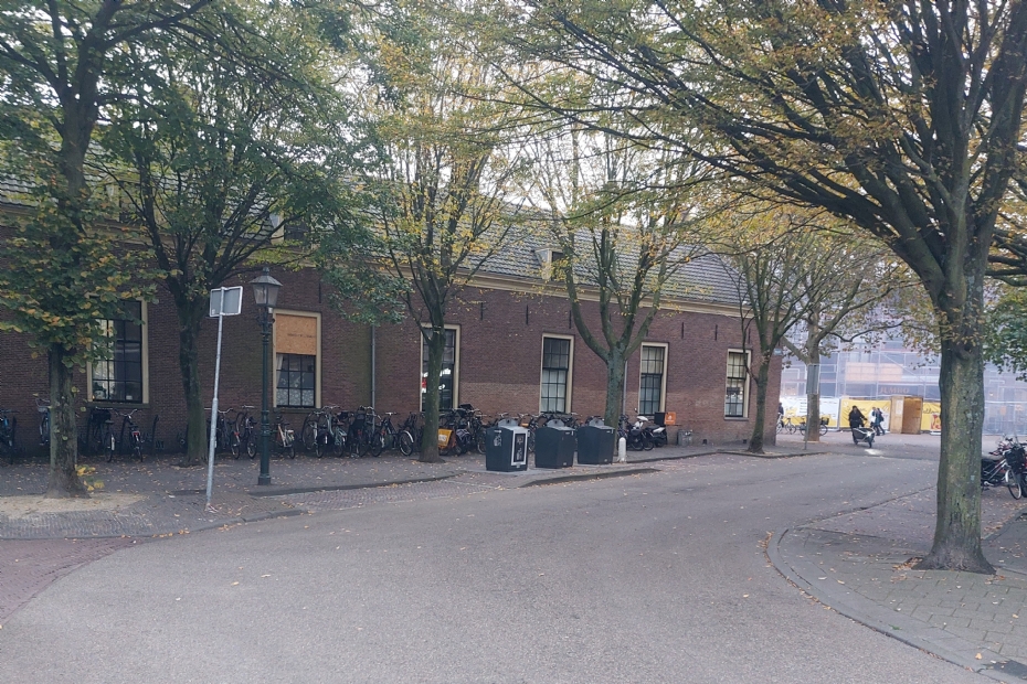 Trees contribute to the urban living environment