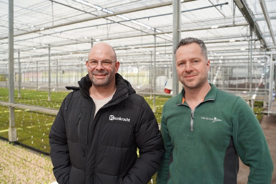 Geert-Jan van der Heijden (right) is operations manager and partner at Vromans Nurseries BV in Biest-Houtakker (N-Br.). The company specializes in shrubs and conifers, growing over 300 varieties (as cuttings, in pots, and in open field). Vromans Nurseries covers approximately 100 hectares: 3 ha under glass, 16 ha container fields, and 85 ha open ground cultivation. The company employs about 40 permanent staff year-round. Iwan van der Steen (left) is a technical-commercial advisor for nurseries at Kiemkracht.