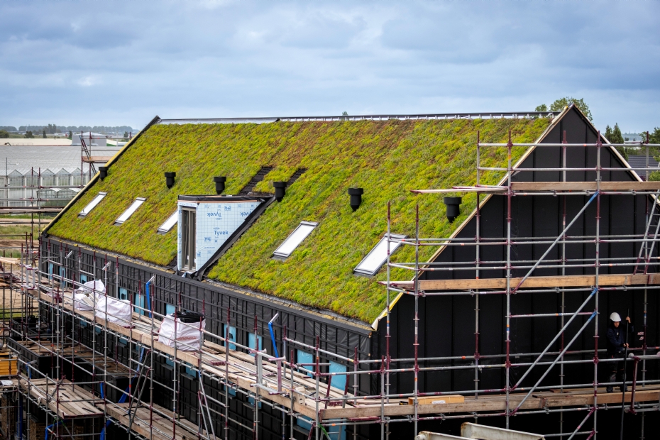The green roofs on the first housing block of the Swanla Triangle project in Zevenhuizen (South Holland)