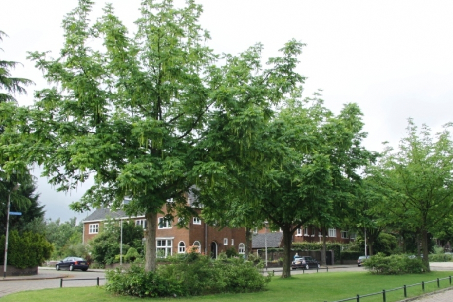 Nijmegen, beeld ter illustratie