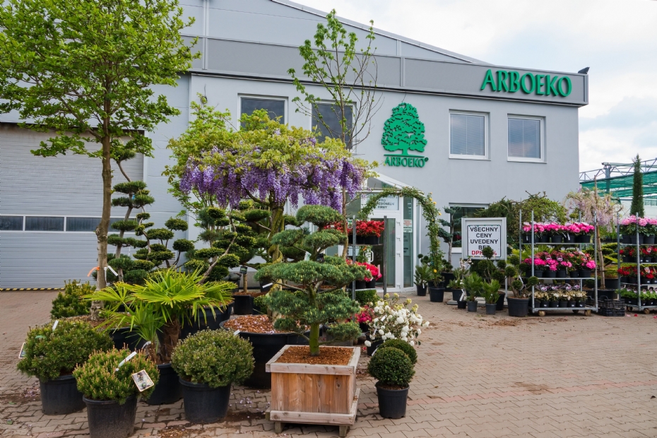 The Czech nursery Arboeko