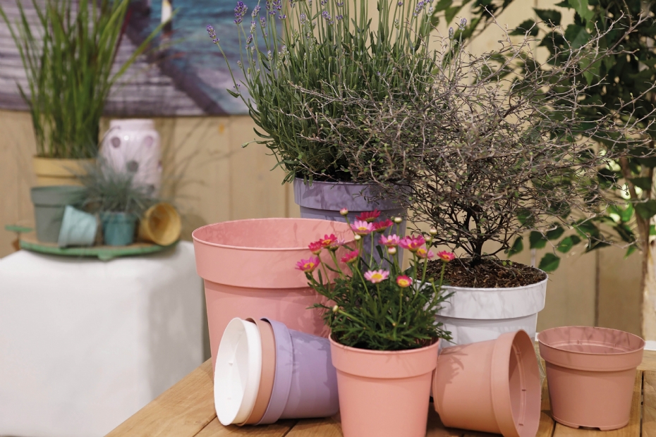Thomsen products