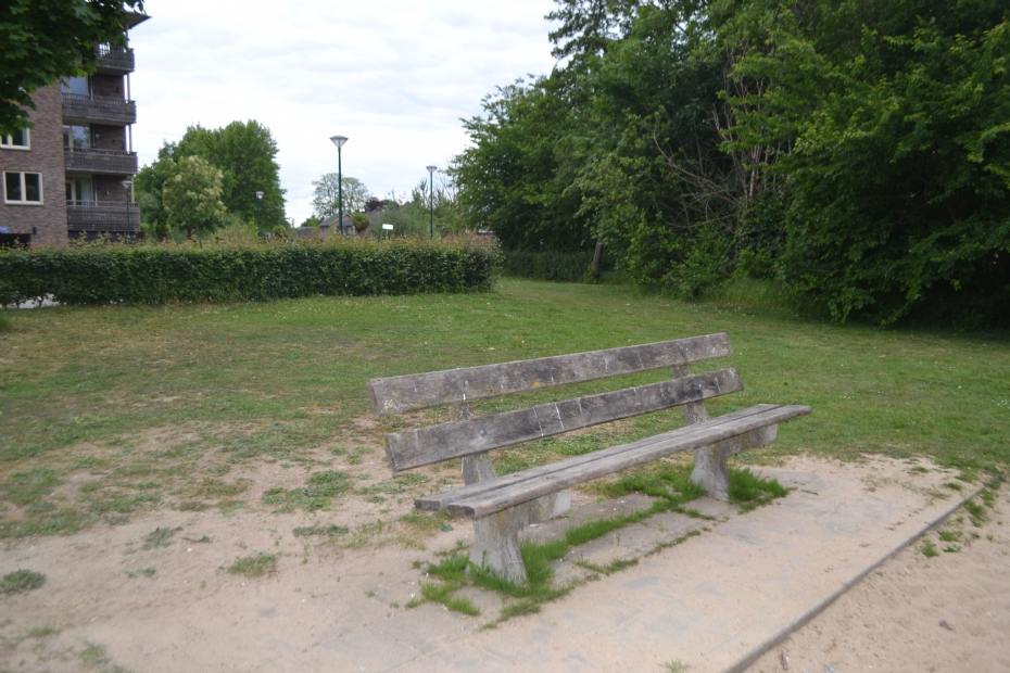 A bench in a green public space