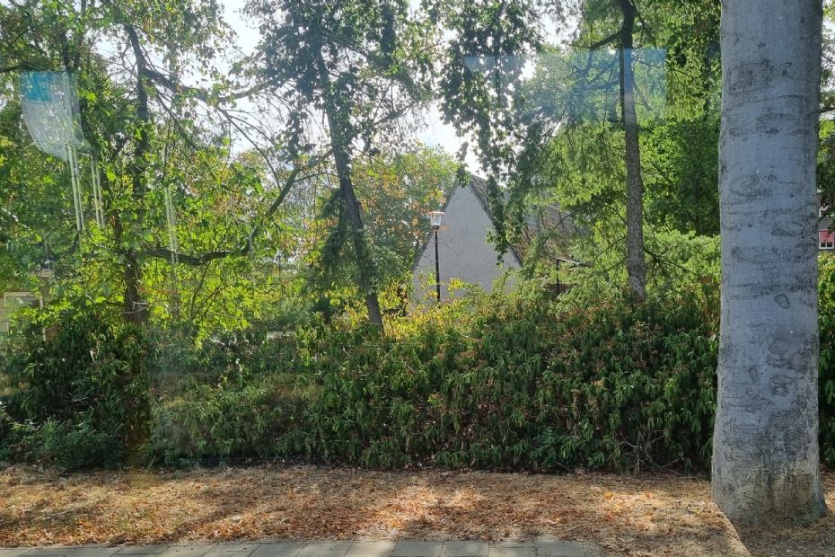 The rhododendrons are dried out at 37 degrees Celsius on the university campus in Nijmegen (Image NWST for illustration)